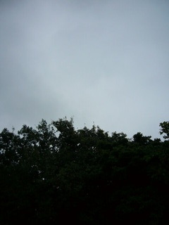 雨です！
