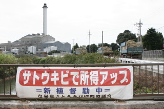 サトウキビ操業開始！