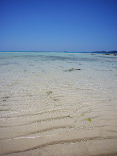 奥武島