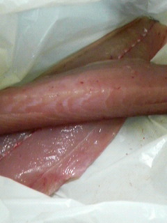 サワラ