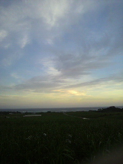 今日の夕日