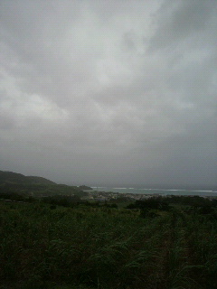 また台風・・