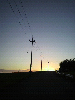 今日の夕日