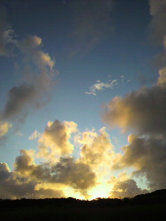 今日の夕日