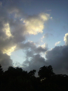 今日の夕日