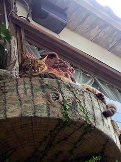 壺屋で・・