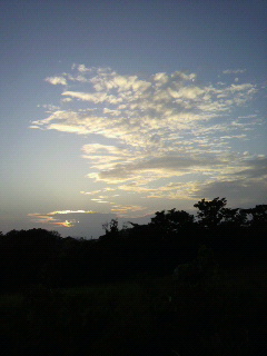夕方の景色