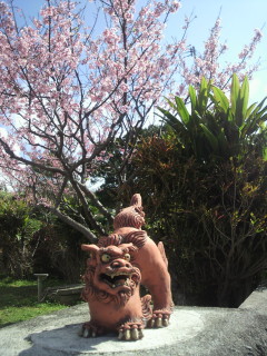 桜