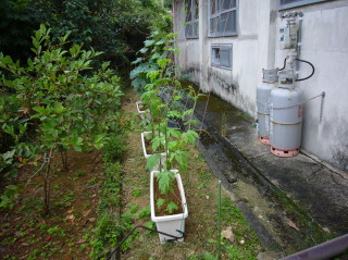 あっという間に・・・
