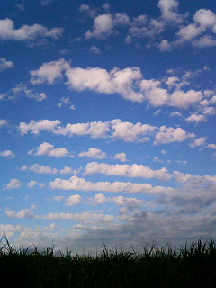 移動中に見た空