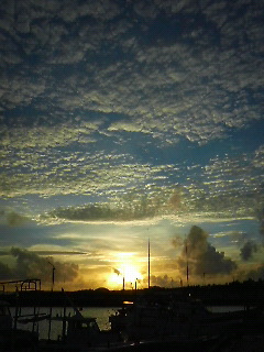 今日の夕日