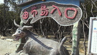 ♪西表島♪