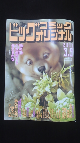 ♪新入荷情報♪＆プレゼントクーポン付き