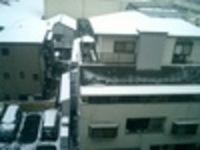 初雪 2006/01/21 12:36:00