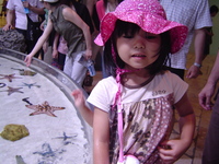 水族館へ行ってきました 2007/07/23 05:09:08