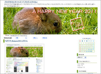 もさウサ_Newyear2011_右カラム 2010/12/31 19:00:17