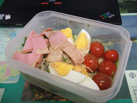 ☆　草食動物になりたいねん！！