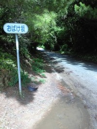 ☆でっでたー！ 2010/07/27 18:33:45