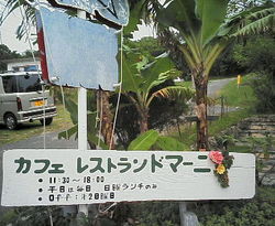 ☆　期待の大型新人。。