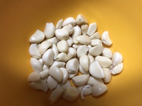 手作り虫よけスプレー用に「にんにく水」を作ったら翌朝青色の水になっていた～