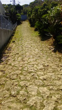 宜野湾市野嵩の石畳道 2018/05/16 08:00:00