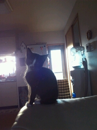 禿げ！ 2014/11/21 17:30:01