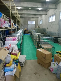 TNR in県総合運動公園＊ 2015/03/04 21:50:00