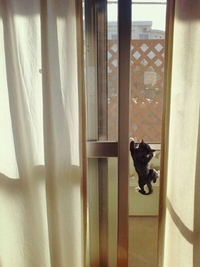 たーにーくー◎ 2014/11/08 18:18:00