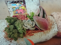 横缶、納品しました♪ 2015/04/16 15:31:29