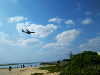 海
