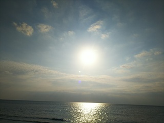 海