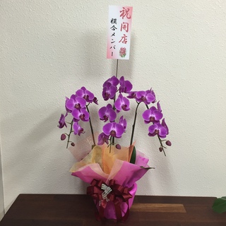 祝！