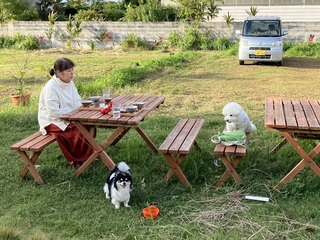 和食朝ご飯屋さん