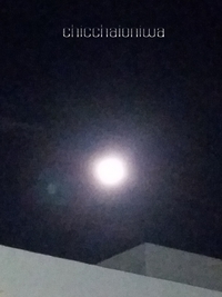 ☆Blue Moon☆ 2015/08/01 09:08:00