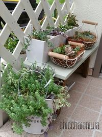 ☆お庭避難解除～！☆ 2015/07/12 21:30:00