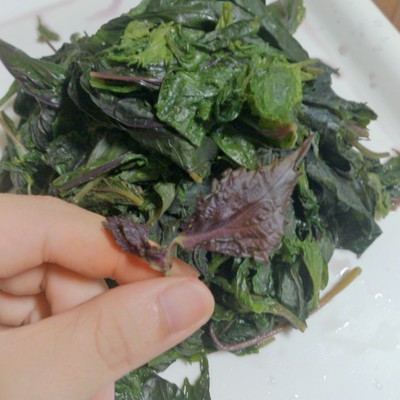【旬の食材】赤しそジュースシロップを作ってみた!