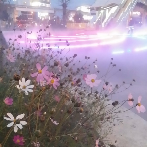 【霧の噴水】ライトアップに行ってみた!　～おもろまち駅前の新都心公園～