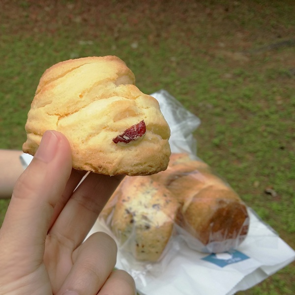 ピクニックにおすすめの公園！