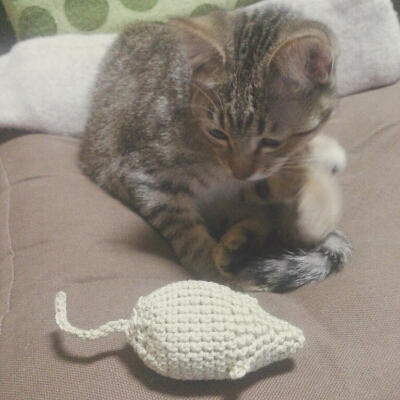 宙返り 意志に反する 猫 おもちゃ 編み物 Rayo70 Org