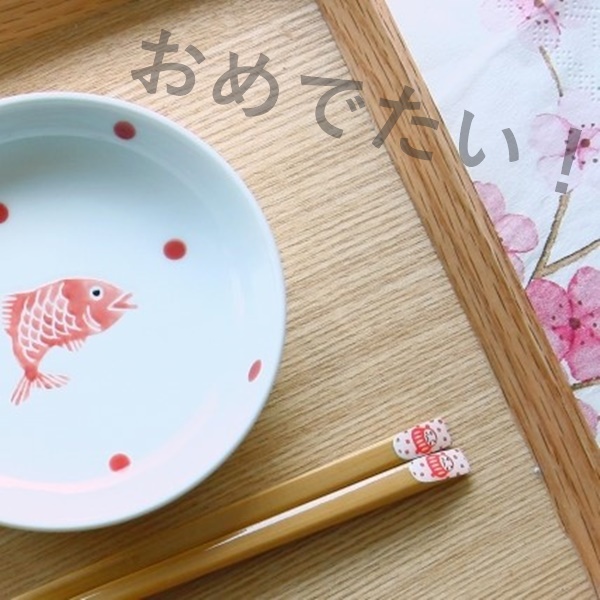 愛猫くーさんの成長記録！ ～1さいになりました～