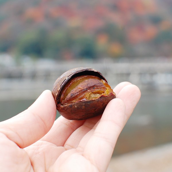嵐山 渡月橋 焼き栗 