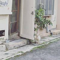４周年も無事終了です~！ 2016/03/28 18:45:27
