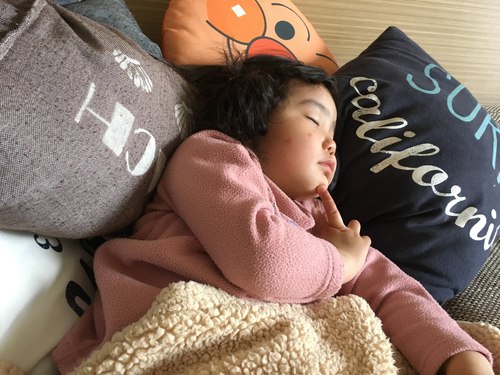 我が家で一品持ち寄りランチ！そして家族 3人で家の近所を散歩したら楽しかった！たまには歩こう(笑)
