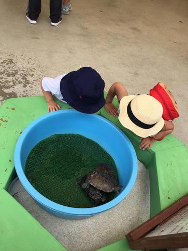 【動物園】お友達同士で沖縄こどもの国に行ってきたよ～♡暑すぎてつらかった（笑）