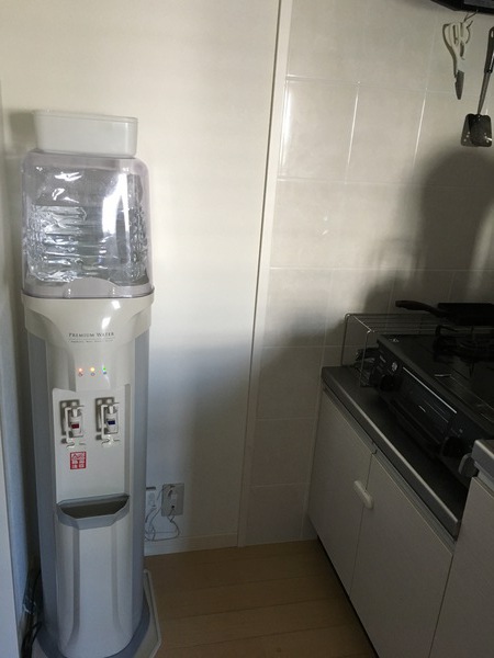 コスパ最強な豆苗再収穫再生栽培