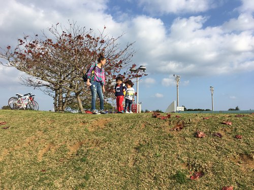 沖縄県総合運動公園遊具