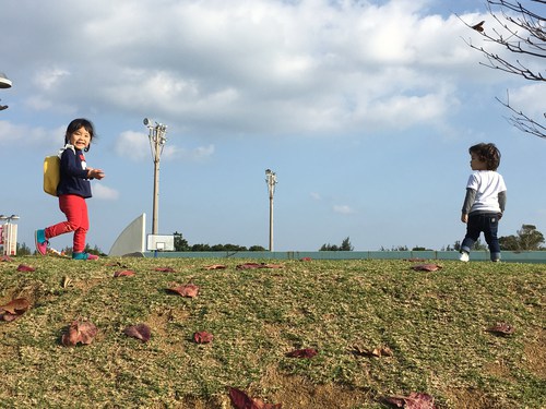 沖縄県総合運動公園遊具
