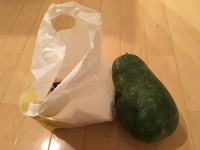 嬉しいプレゼントを頂きました～♡特大シブイ付き！！