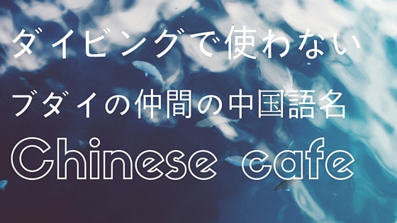 ダイビングで絶対使わないブダイの仲間の中国語 中国語カフェ