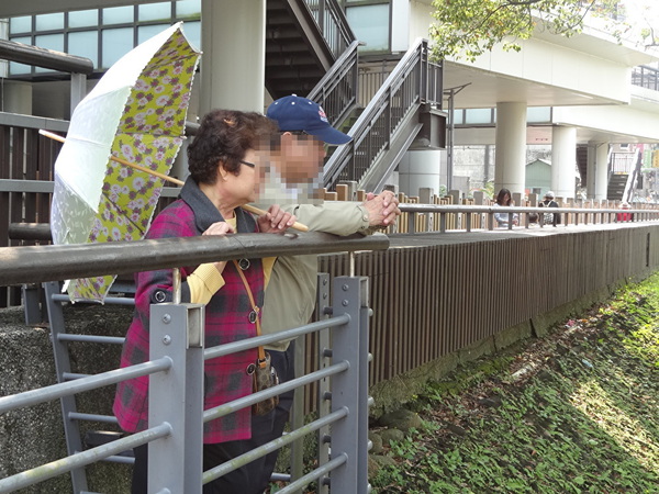 台北から地下鉄で行ける郊外の街（1）新店